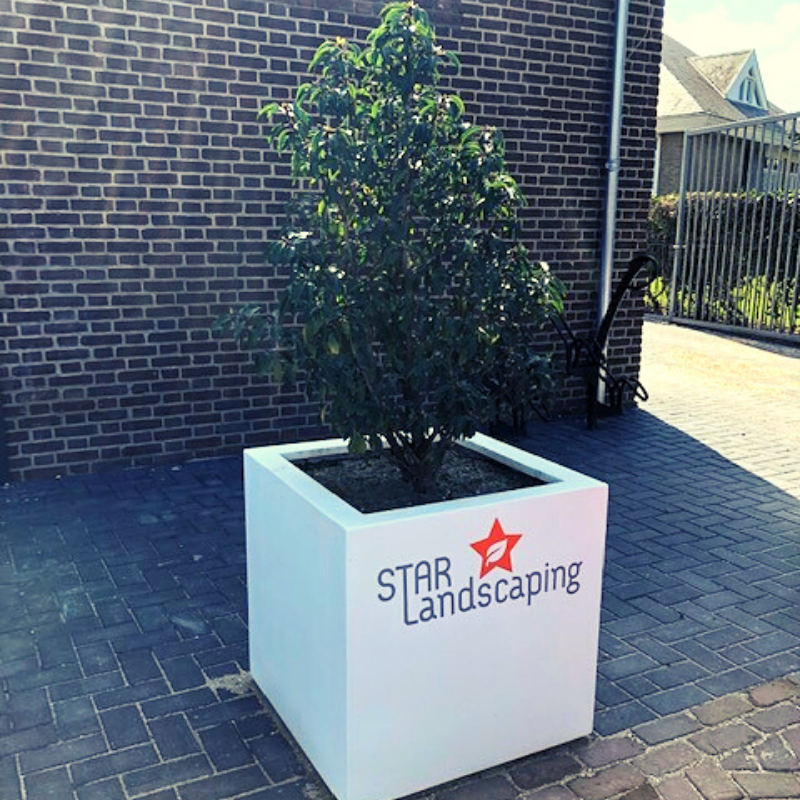 https://starlandscaping.nl/wp-content/uploads/2021/10/800-800-logo-over-ons.png